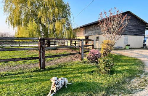 Gîte dans un petit haras - Foto 21