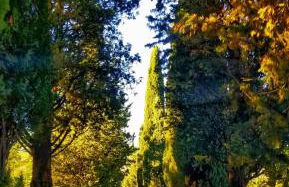 Agriturismo Annibale - Foto 42