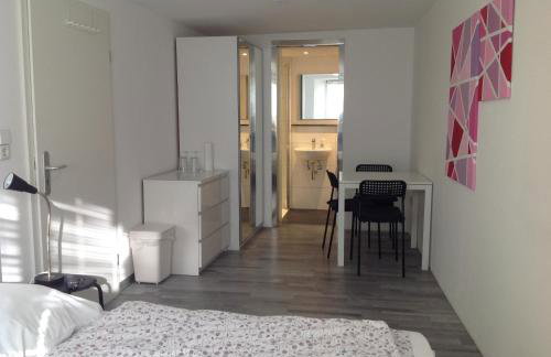 Stadtmitte Ferienwohnung Waldshut - Foto 5