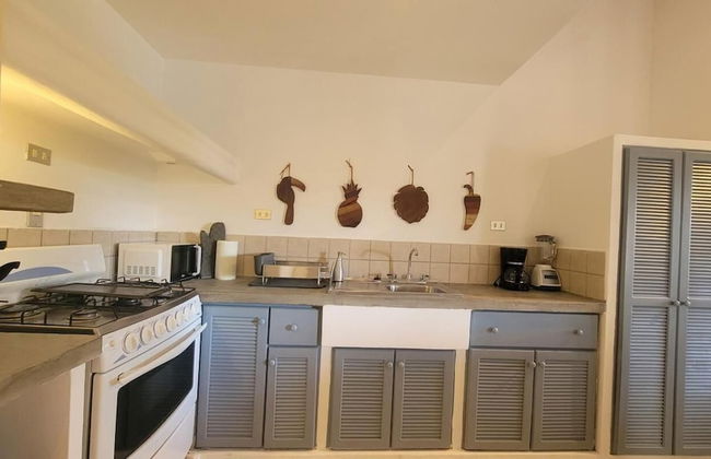 Condo Golf B3 P3 Hacienda Iguana - Foto 13