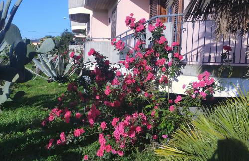 aranceto dell'Etna - Foto 25