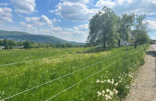 Ferienwohnung Turmfalke - Foto 20