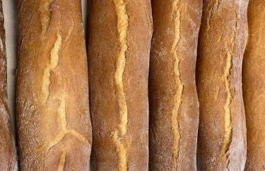 Agriturismo Alla Vigna - Foto 33