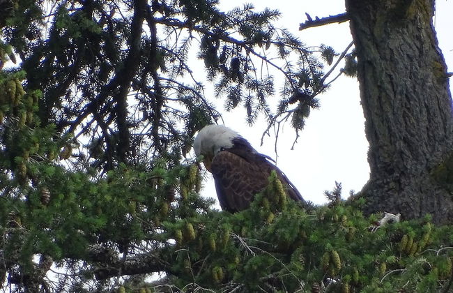 Suite at Trails End Beach House - Photo 33