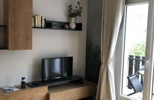 Cano'Py, charmant 2 pièces avec vue montagne en cœur de ville - Foto 11