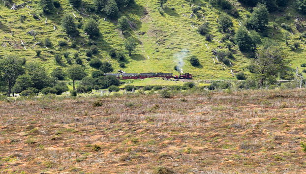 Excursion à la Terre de Feu + Train du Bout du Monde - Photo 3