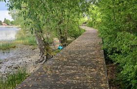 Domek Malina - Foto 9