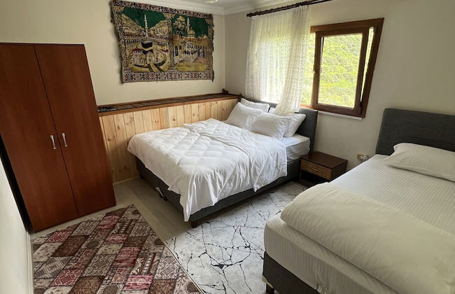 Yeşil Doğa Bungalov - Foto 4