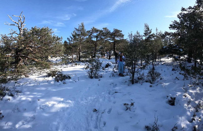 Passeggiata con racchette da neve + Costruzione di un iglù - Foto 2