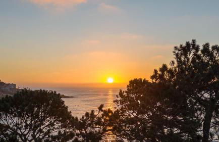 La Jolla Shores Oceanview Retreat - Photo 70