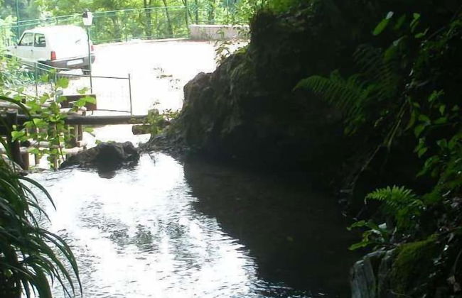 Agriturismo Casa del Bosco - Foto 42