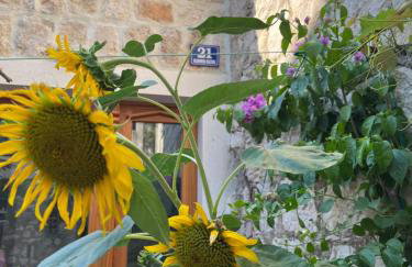 Sea house Škapulo - Photo 15