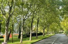 J&J stays 5 bedroom detached house in Peterborough with parking - Photo 66