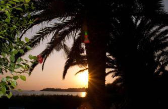 Palmira Apartments - Foto 73