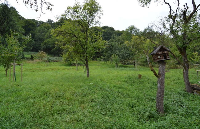 Cozy Apartment in Immerath With Fishing Near - Foto 41