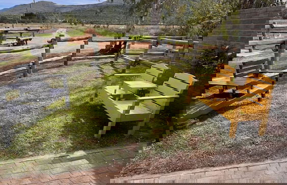 Amberdale Estate Self Catering - Photo 50