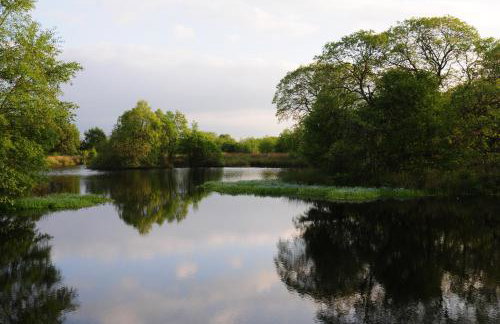 Bryn Isaf Tregaron - Foto 17