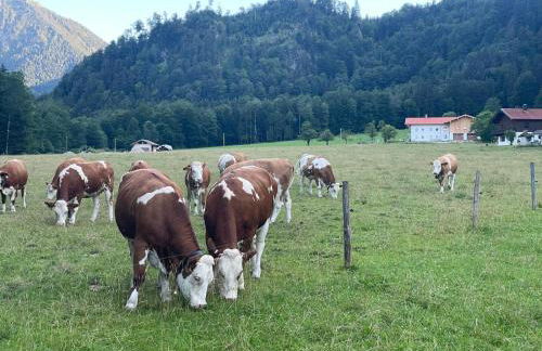 Ferienwohnungen Bergluft - Foto 18