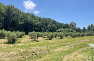 Il Leccio Agriturismo - Foto 64