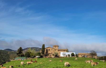 Mas Postius - Photo 29