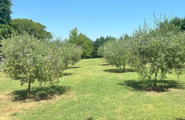 Dimora riviera - Foto 34