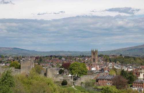 Milford Tree Tops - Foto 24