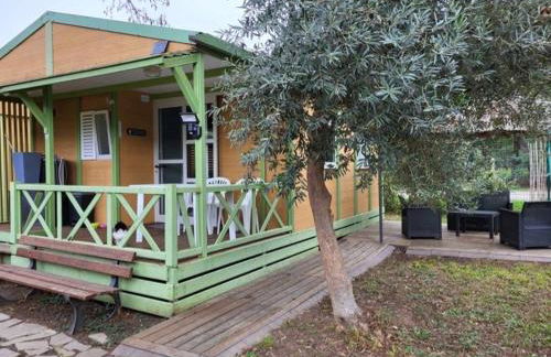 Chalet climatisé avec patio en Haute Corse 5 couchages - Foto 4