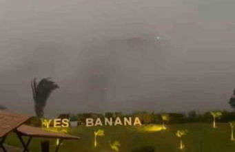 LD House- Bananeiras - Photo 38