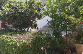 Pela Apartments - Foto 23