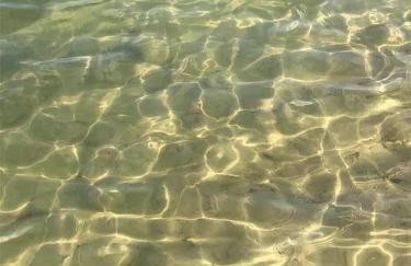 Leśna 6 - House with a garden - Foto 9