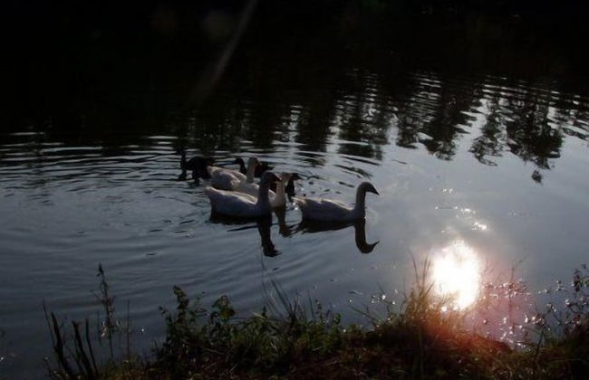 San Bernardino del Lago - Foto 31