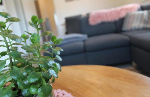 Ferienhaus Seehuis, Sauna, angeln, familienfreundlich - Photo 19