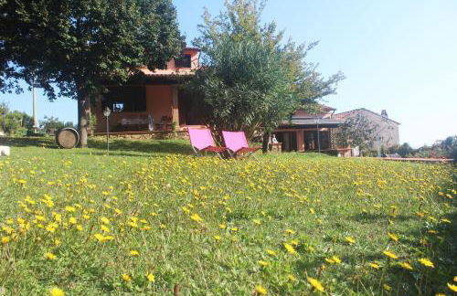 Villa Shanti Yoga & Meditation - Foto 19