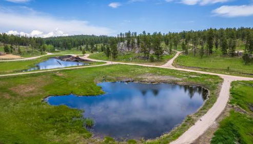 Secret Squirrel Sanctuary - Foto 2