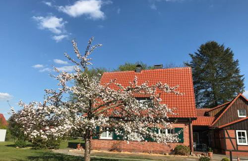 Ferienhaus-Eschede - Foto 55