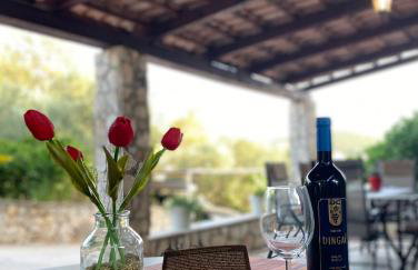 Apartmani Roxy - Foto 6