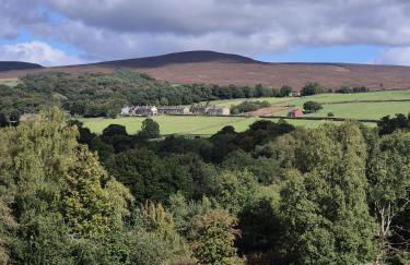 The Waltzing Weasel - Photo 12