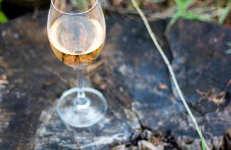 Sarnówka KDN - Foto 13