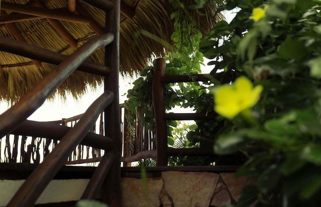 Villas Oasis - Foto 15