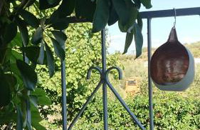 Evilion house inTholo. Sea, nature, relaxation! - Foto 36