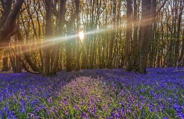 Home by the Sea in Rustington - Foto 53