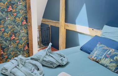 Piscine chauffée, Rouen centre, Maison atypique - Foto 6