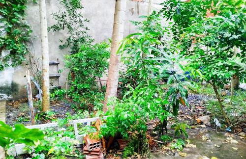 Apto Casa A Simples, Central e Aconchegante - Photo 5