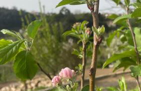 Quinta de VillaSete - Foto 75