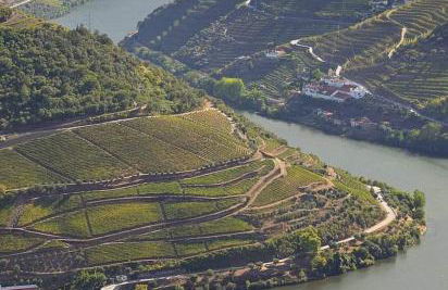 Pinhão House - Foto 16