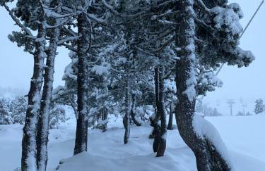 FLOR de MONTANHAS Appt vacances 4P- La Pierre St Martin GR10 - Foto 36