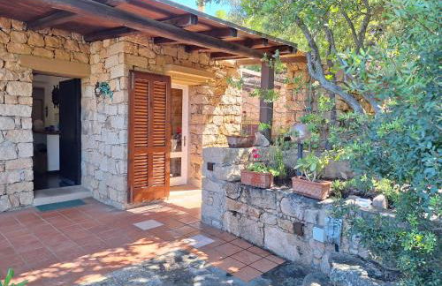 Villa La Lecceta surrounded by greenery and sea view with sunset - Foto 8