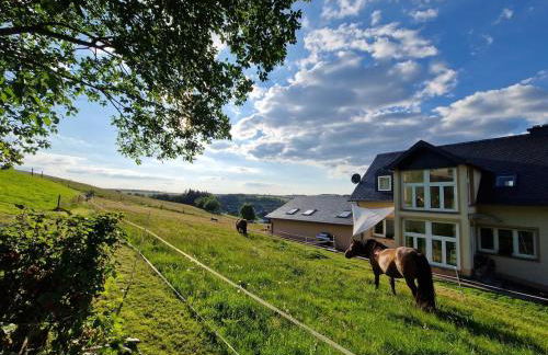 Ferienhaus Schilz II - Urlaub auf dem Bauernhof - Foto 26