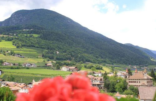 Residence Rebgut - Foto 20