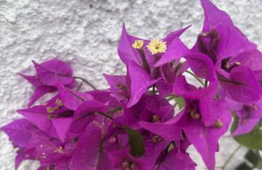 Domus Lucia - Foto 3